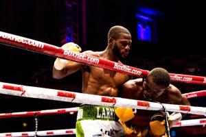 sports de combat