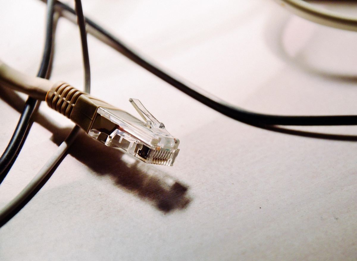 Un connecteur RJ45 et plusieurs câbles noirs sur une surface claire